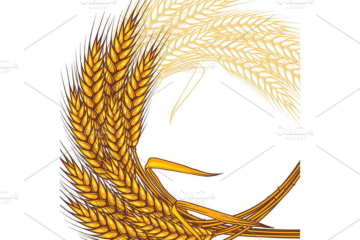 Background with ripe yellow wheat ears in Illustrations - product preview 8