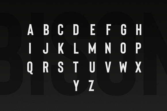 Bison - A Powerful Sans Serif in Sans-Serif Fonts - product preview 13