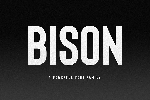 Bison - A Powerful Sans Serif in Sans-Serif Fonts - product preview 16