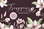 Frangipani Floral Watercolor Clipart