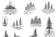 Forest badge tree vector set isolate