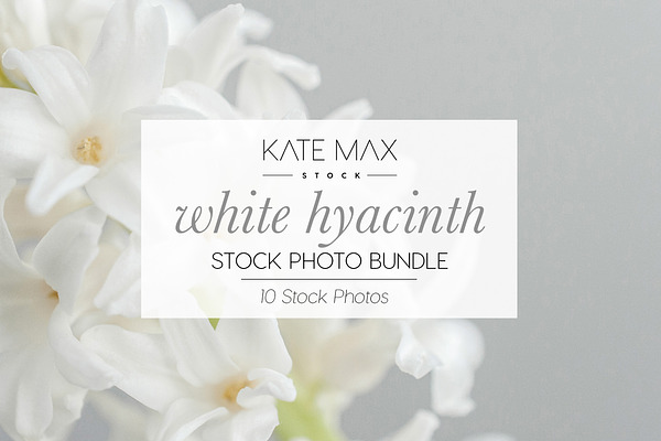 White Spring Flower Stock Photo Bund