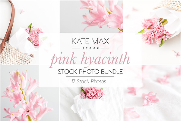 Pink Spring Blossom Stock Photo Bund