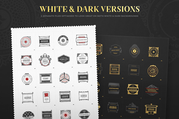 100 HQ Logos in Logo Templates - product preview 13