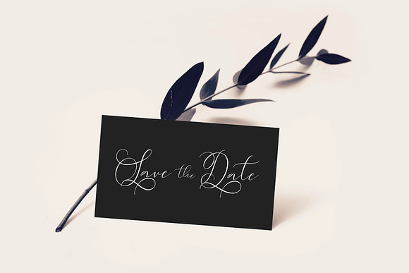 Sydnee Modern Calligraphy Font in Calligraphy Fonts - product preview 9