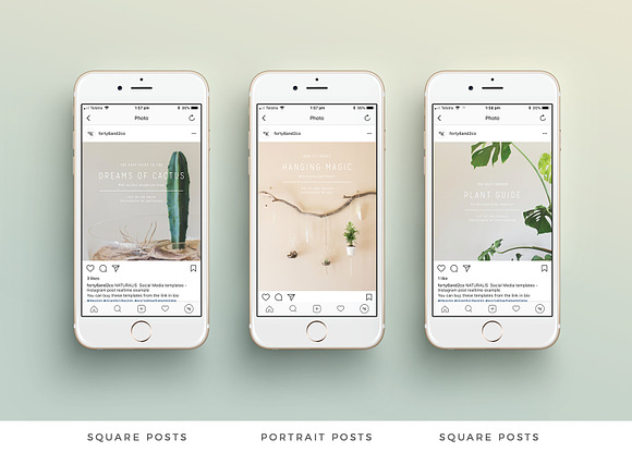 NATURALIS Instagram Pack in Instagram Templates - product preview 4