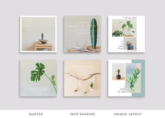 NATURALIS Instagram Pack in Instagram Templates - product preview 5