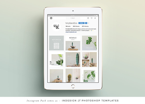 NATURALIS Instagram Pack in Instagram Templates - product preview 7