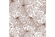 Vector illustration leaves of palm tree.