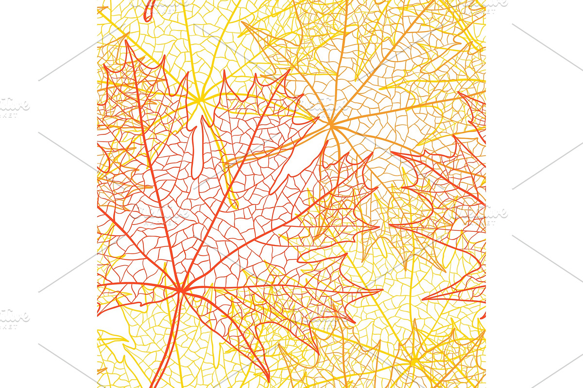 Autumn macro leaf of maple. Vector bacground in Patterns - product preview 8