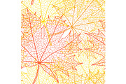 Autumn macro leaf of maple. Vector bacground