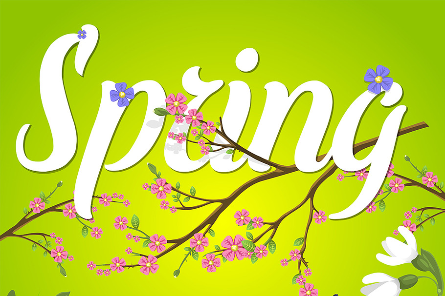 Spring vector text lettering back