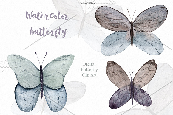 Spring watercolor butterfly in Illustrations - product preview 4