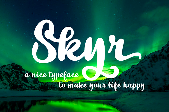 Skyr Pro Family in Script Fonts - product preview 1