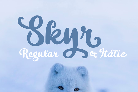 Skyr Pro Family in Script Fonts - product preview 2