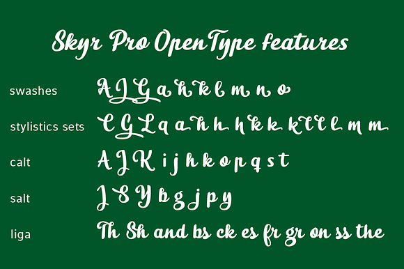Skyr Pro Family in Script Fonts - product preview 3