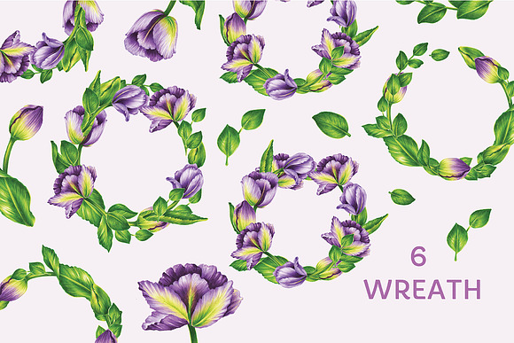 Vector Set Of Violet Tulips in Illustrations - product preview 1