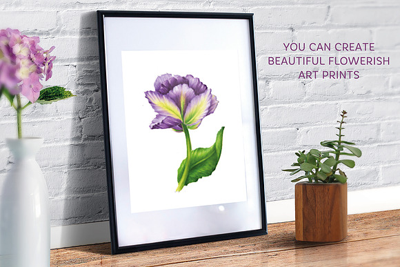 Vector Set Of Violet Tulips in Illustrations - product preview 3