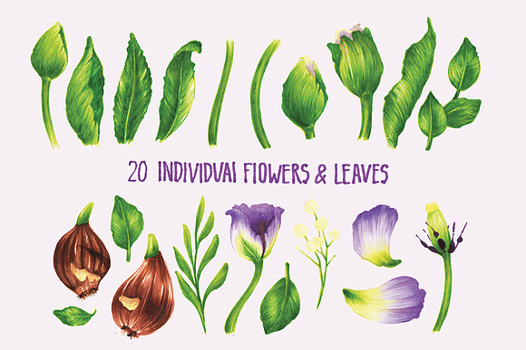 Vector Set Of Violet Tulips in Illustrations - product preview 4