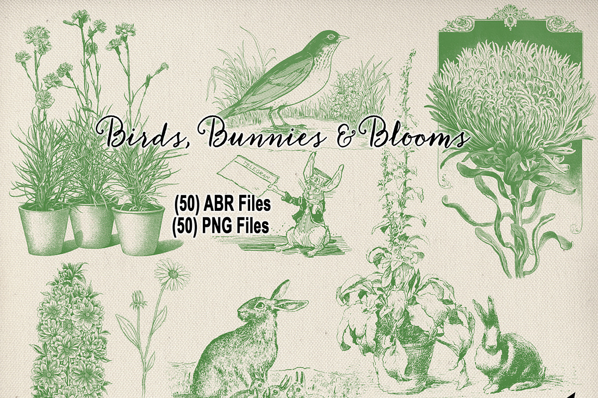 Birds, Bunnies & Blooms Brushes Set in Photoshop Brushes - product preview 8