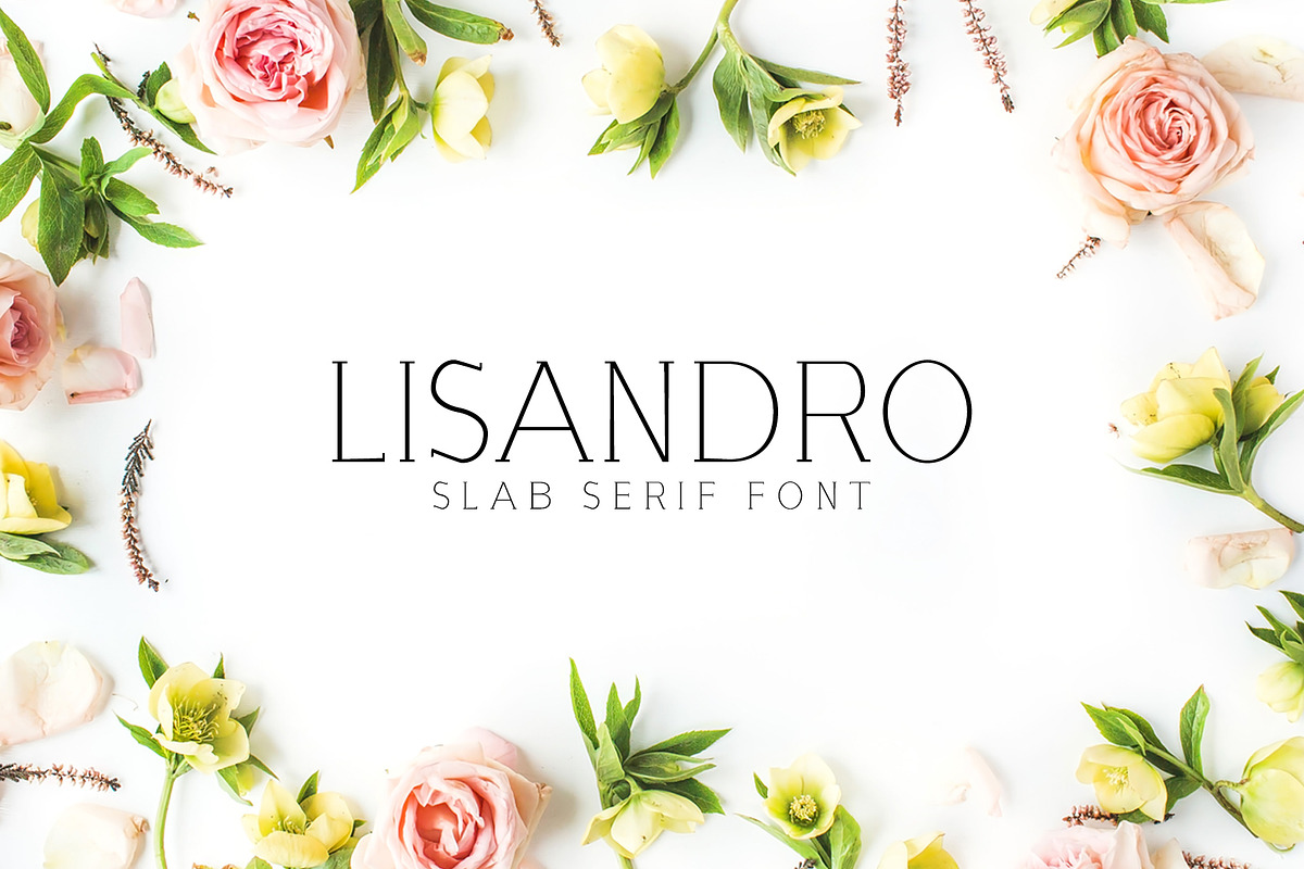 Lisandro Slab Serif Font in Slab Serif Fonts - product preview 8