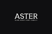 Aster Slab Serif 9 Font Family Pack
