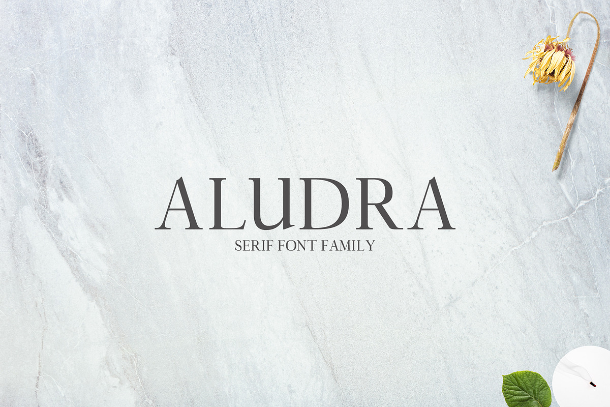 Aludra Serif 12 Font Family Pack in Serif Fonts - product preview 8