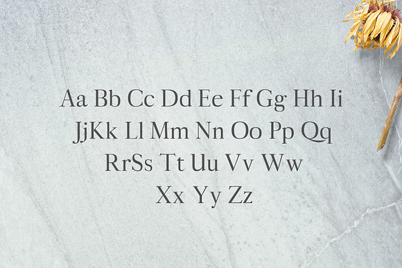 Aludra Serif 12 Font Family Pack in Serif Fonts - product preview 1
