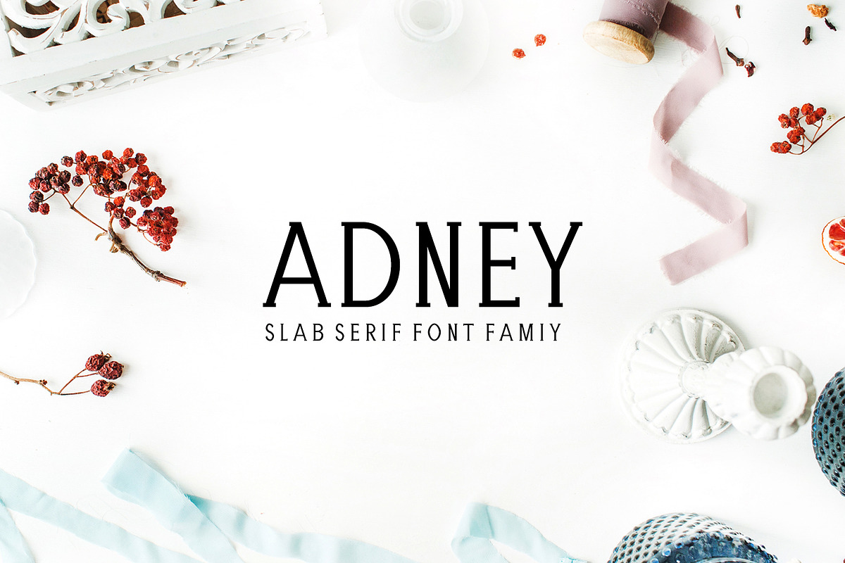 Adney Slab Serif Font Family in Slab Serif Fonts - product preview 8