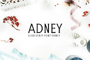 Adney Slab Serif Font Family