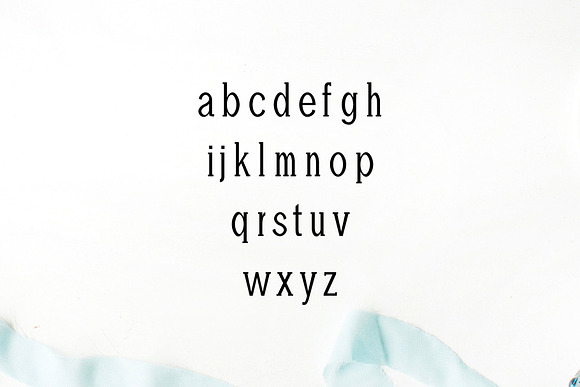 Adney Slab Serif Font Family in Slab Serif Fonts - product preview 2
