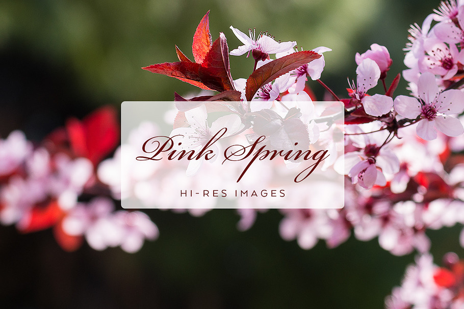 Pink Spring Flowers in Textures - product preview 8