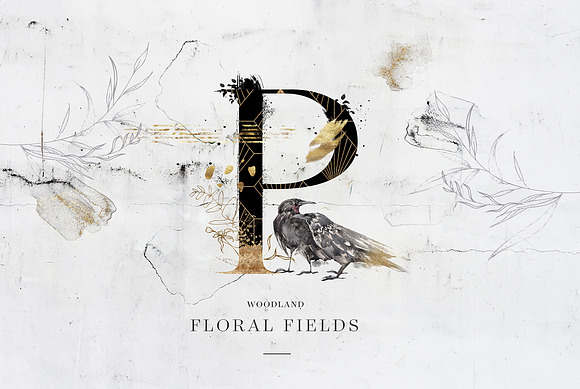 Floral Fields Alphabet&Graphics in Illustrations - product preview 1
