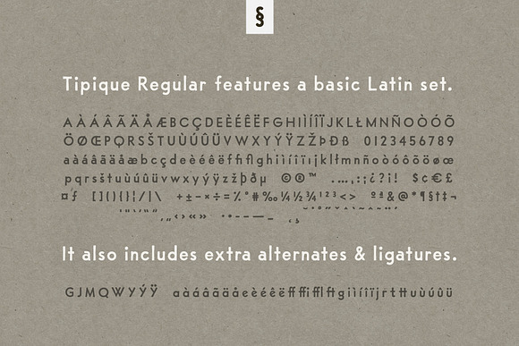 Tipique | Mid-Century Font Revival  in Sans-Serif Fonts - product preview 2