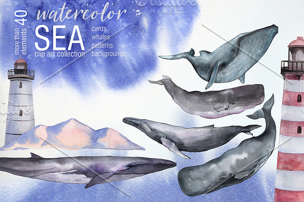Watercolor Sea. Whales clip art