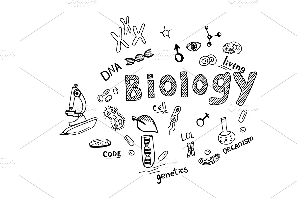 biology theme in sketch style in Illustrations - product preview 8