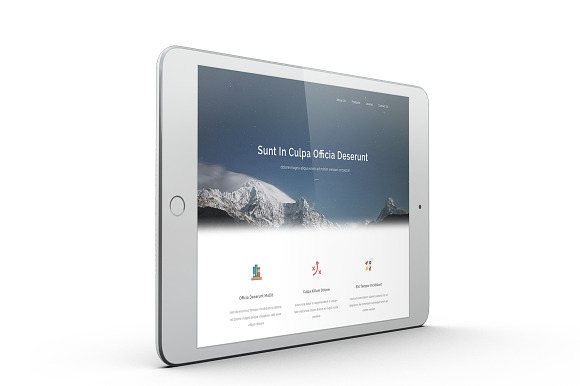 iPad Mini 4 MockUp in Mobile & Web Mockups - product preview 9