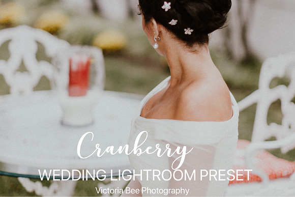 Desktop Lightroom Presets CRANBERRY in Add-Ons - product preview 15