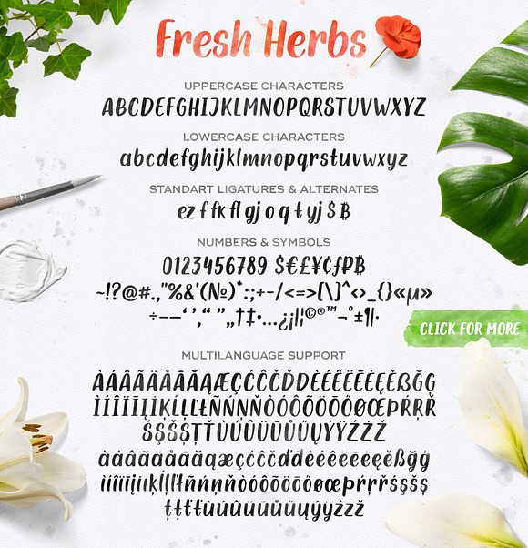 Fresh Herbs Font in Display Fonts - product preview 1