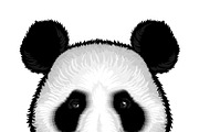 Cute Fluffy Panda Face
