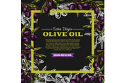 Vector olive oil extra vrigin sketch poster
