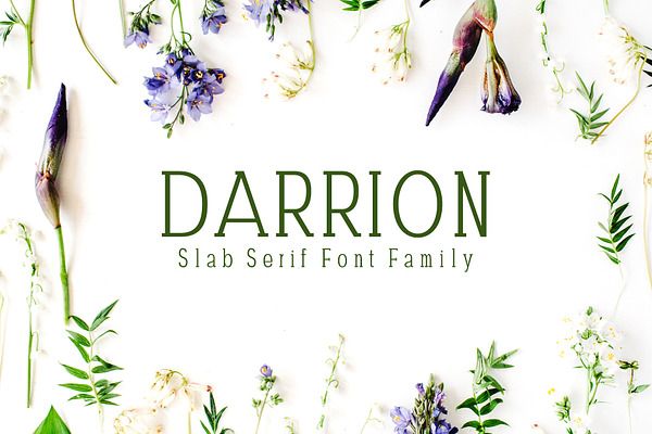 Darrion Slab Serif Font Family