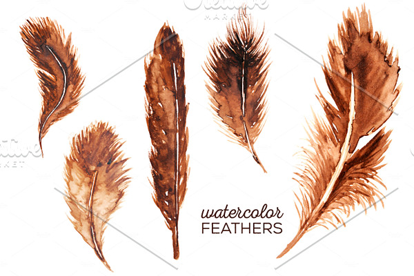 5 Watercolor Feather Clip Art