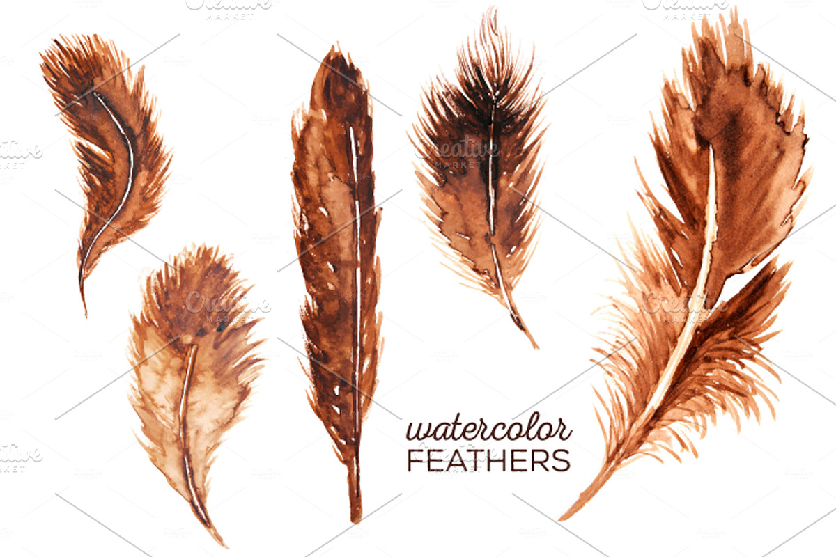 5 Watercolor Feather Clip Art in Illustrations - product preview 8