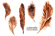 5 Watercolor Feather Clip Art