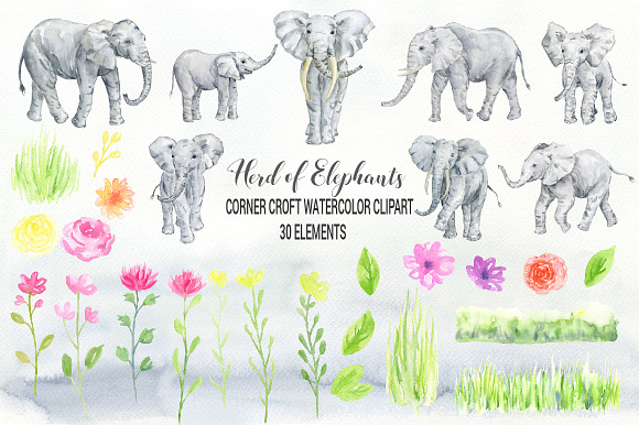 Watercolor Elephant Clipart in Illustrations - product preview 1