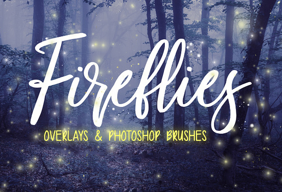 Firefly OVERLAYS + PHOTOSHOP BRUSHES in Photoshop Brushes - product preview 6