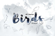 49 Birds Collection