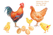 Watercolor Clipart Chicken Family