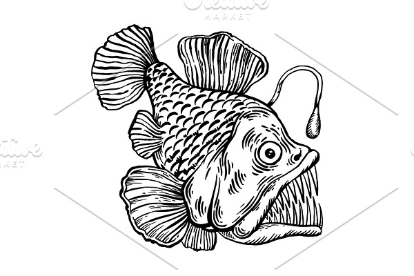 Deepwater fish with lighter engraving vector